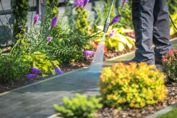 Best Spring Cleaning  in Chetopa, KS